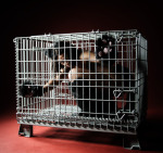 Tighter iz better Nov 27, 2010