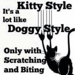 Kitty Style